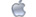 iPod